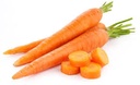 Carrot